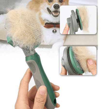 The Hair Whisperer: The Game-Changing Automatic Hair Removal Comb